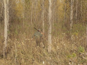 DSC05069