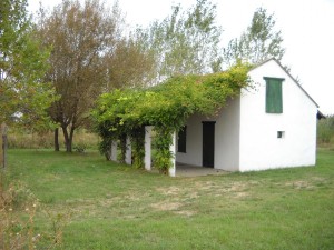 DSCN1074