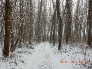 DSCN4797