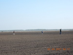 DSCN5276