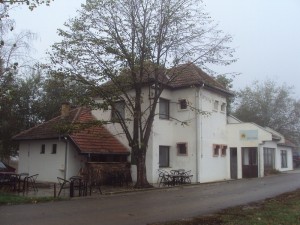 DSC05040