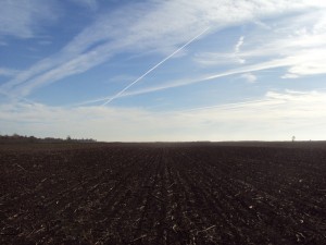 DSC05074