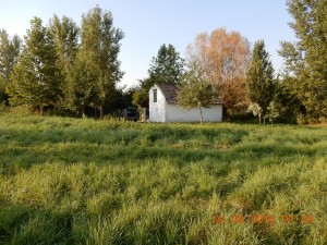 DSCN4176 (1)