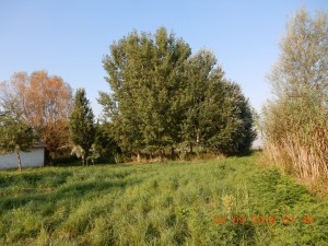 DSCN4178 (1)