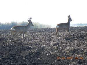 DSCN5162