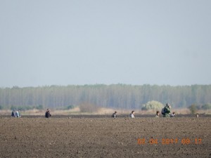 DSCN5277