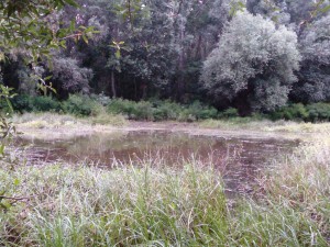 IMG 20150626 200348 (1)